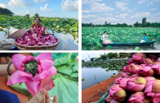 West Lake launches First-ever Hanoi Lotus Festival