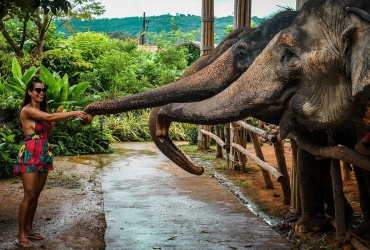 Chiang Mai – Elephant Jungle Sanctuary (B, L)