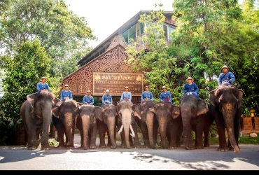 Luang Prabang- Elephant village – Kuang Si (B)