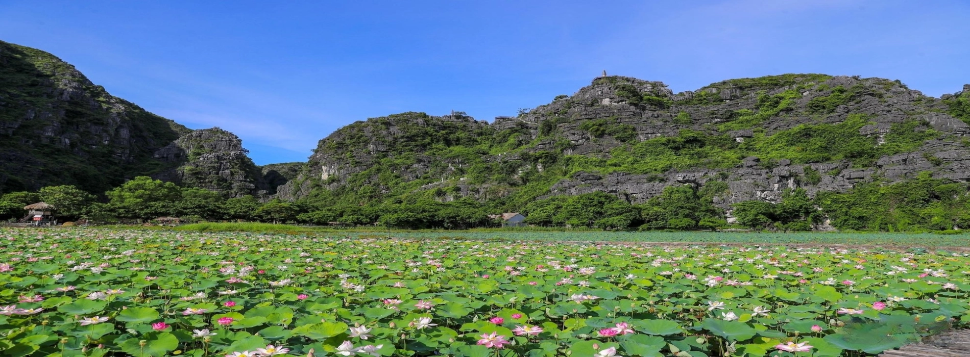 Ninh Binh is on the Top 10 Best Travel Experiences in the World