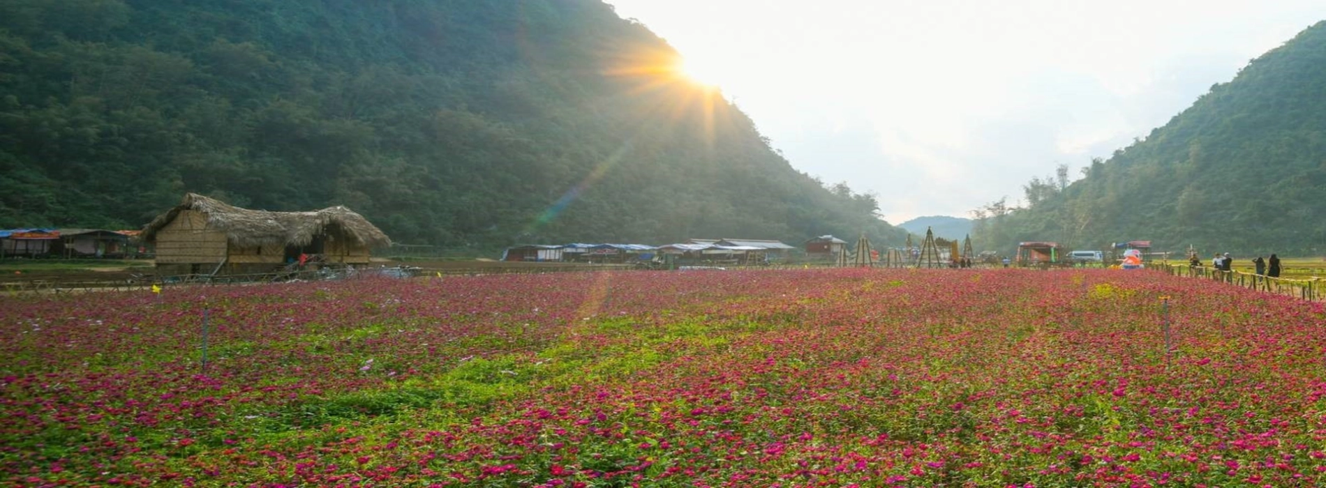 Bac Son Flower Valley