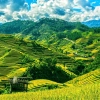 Top 5 beautiful rice terraces in Vietnam cannot be missed