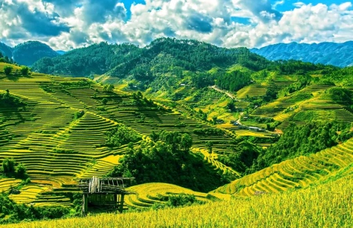 Top 5 beautiful rice terraces in Vietnam cannot be missed