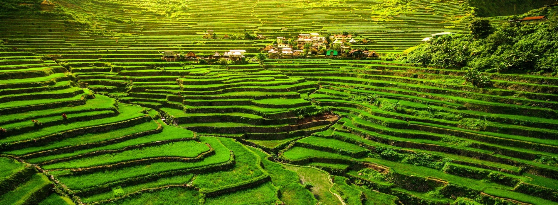 Top 5 beautiful rice terraces in Vietnam cannot be missed