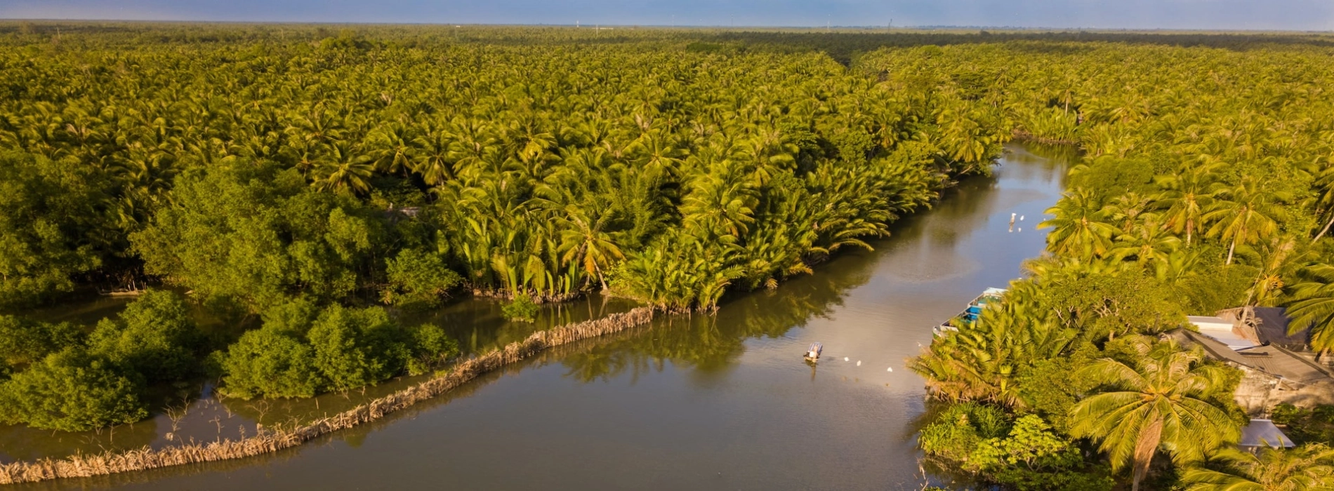 Must-try activities in the Mekong Delta for a perfect trip