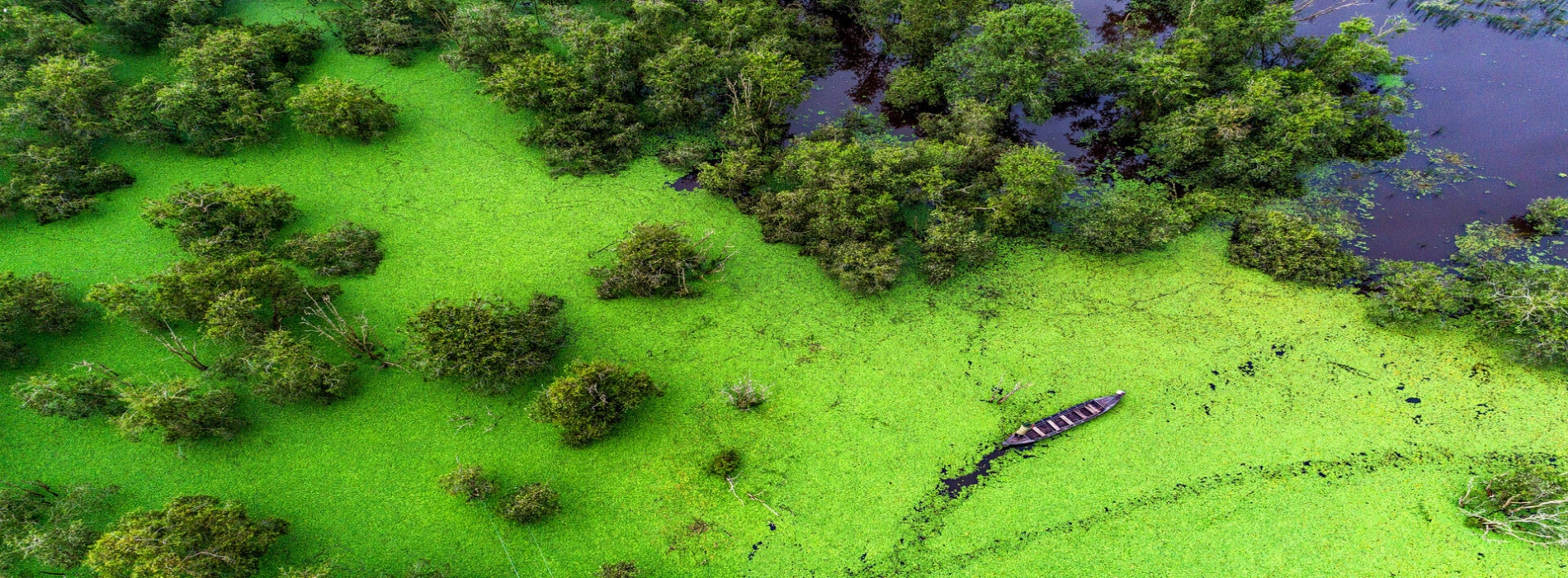 Most Beautiful Vietnam National Parks: Immersion in Nature