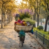 Travel to Vietnam in August: A Complete Travel Handbook