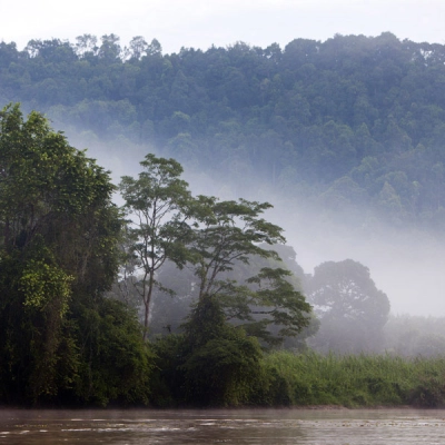 Kinabatangan