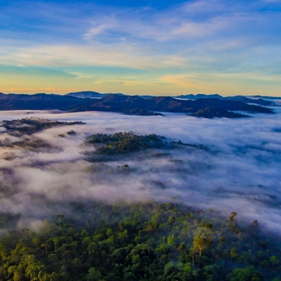 Danum Valley