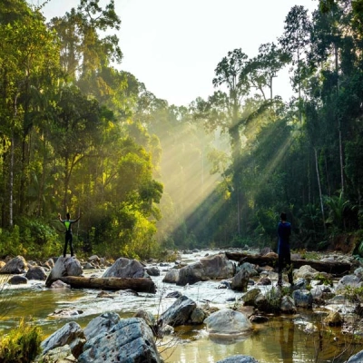 Taman Negara National Park