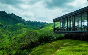 Cameron Highlands Half-Day Tour