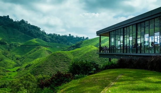 Cameron Highlands Half-Day Tour