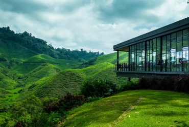 Cameron Highlands Half-Day Tour