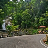 Cameron Highlands Half-Day Tour