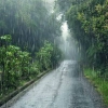 Monsoon Season: Navigating the Wettest Months in Thailand with Ease