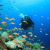 Top 10 Best Diving Spots in East Malaysia