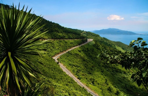 7 most breathtaking passes in Vietnam for intrepid explorers