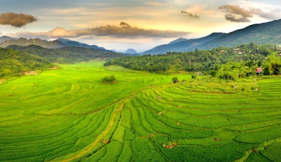 Mai Chau Pu Luong Tour 3 days 2 nights: Trek off the beaten path