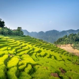 Mai Chau Pu Luong Tour 3 days 2 nights: Trek off the beaten path