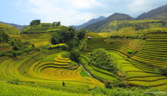 Pu Luong Ninh Binh Tour 4 days 3 nights: Rural charm and scenic landscapes