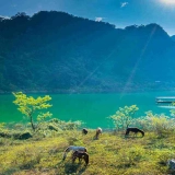 Ba Be Cao Bang Ban Gioc Tour 4 days 3 nights: Explore Northern Charms