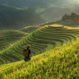 Sapa Tour 2 days 1 night: Jungle Trekking Through The Heart of Sapa