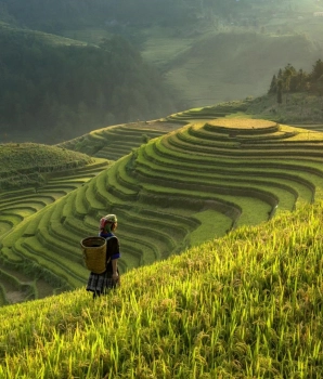 Sapa Tour 2 days 1 night: Jungle Trekking Through The Heart of Sapa