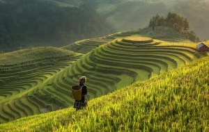 Sa Pa Tour 2 days 1 nights: Jungle Trekking Through The Heart of Sapa