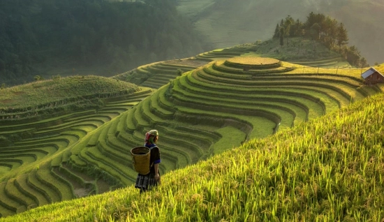 Sapa Tour 2 days 1 night: Jungle Trekking Through The Heart of Sapa