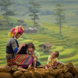 Sapa Tour 2 days 1 night: Jungle Trekking Through The Heart of Sapa