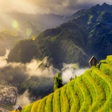 Sapa Bac Ha Mu Cang Chai Tour 5 Days: Into the Heart of Northern Vietnam