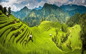 Ha Giang  Tour 3 days: A Scenic Journey through Dong Van