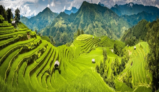 Ha Giang  Tour 3 days: A Scenic Journey through Dong Van