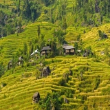 Northern Vietnam Tour 5 days: Explore Sapa, Bac Ha and Hoang Su Phi