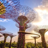 Discover the Wonders: 20-Day Singapore Malaysia Thailand Tour