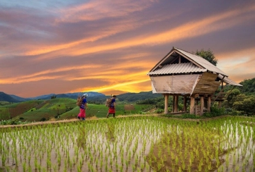 Chiang Mai Temples & Doi Suthep Mountain