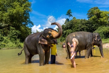 Phuket – Samet Nangshe Viewpoint – Elephant Bathing