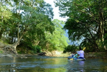 Kayak and Safari