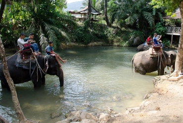 Krabi Rainforest Tour With Elephant Trekking Or ATV