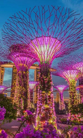 Singapore Tours 20 Days