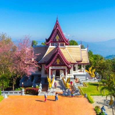 Doi Mae Salong