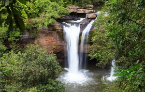 Khao Yai National Park Tour 2 Days: Escape into Nature