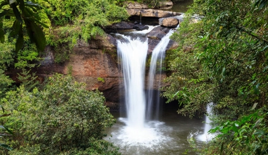 Khao Yai National Park Tour 2 Days: Escape into Nature