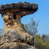 Udon Thani Tour 4 Days 3 Nights: Nature, History, and Culture