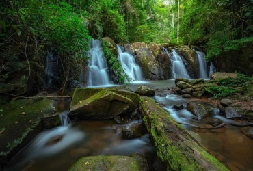 Day 3: Bo Kluea - Khun Nan National Park - Bo Kluea (B, L)