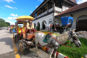 Lampang to Chiang Mai (B,L)