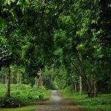 Ninh Binh Tour 3-Day: Natural beauty and Cultural heritage