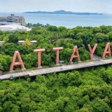 Pattaya Tour 3 Days: Adventure and Entertainment Highlights