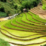 Mu Cang Chai Trekking Tour 4 Days: Stunning Rice Terraces