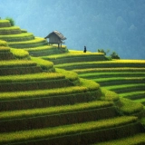 Mu Cang Chai Trekking Tour 4 Days: Stunning Rice Terraces